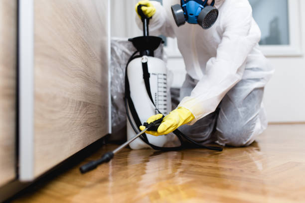 Best Best Pest Control Companies  in Bellevue, OH