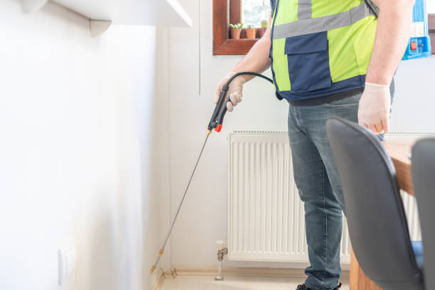 Best Mosquito Control Services  in Bellevue, OH