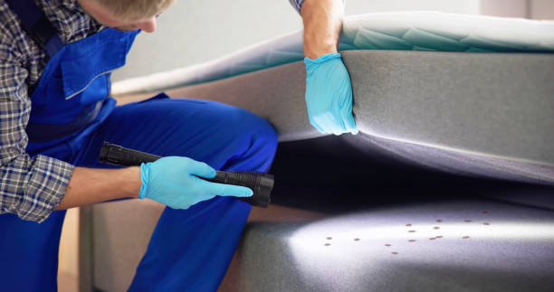  Bellevue, OH Pest Control Pros